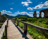 850_9243-Edit