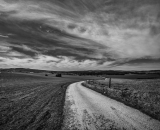 DSC_7225-Edit