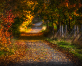 750_4238-Edit-2