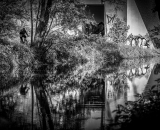 810_2156-Edit-2