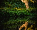 810_4093-Edit