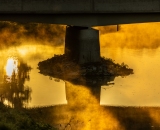 850_1196