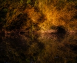 850_1232-Edit