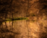 NEF_0750_topaz