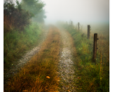 850_7016-Edit-topaz-denoise-2_ramecek