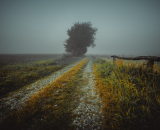 850_9825