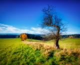 DSC_1012-Edit-3-Edit