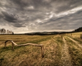 DSC_6122-Edit