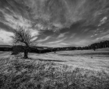 DSC_7234-Edit
