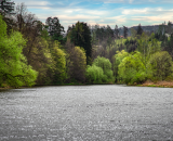 850_7390-Edit-Edit-2-Edit