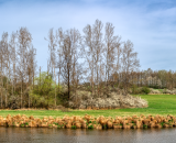 850_7410-Pano-Edit-Edit