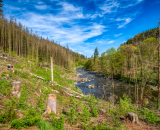 NEF_2285-Edit-3