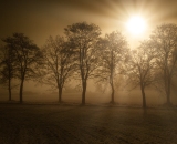 DSC_0220-Edit
