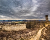 NEF_7001
