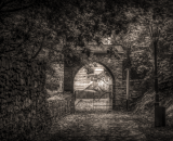 850_7382-Edit-Edit