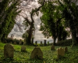 810_9069-Edit-2