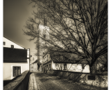 850_7016-Edit-Edit