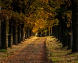 Ono to vypadá, že je teplo. Ale byla "zimajakosviňa". Těsně nad nulou a hlavně fučelo.
