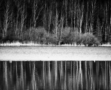 DSC_5434-Edit