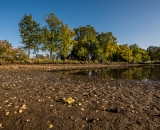 Cihlářský rybník u Stříteže. 7. října 2019