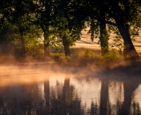 NEF_8278