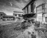 DSC_3173-Edit