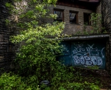 NEF_2585