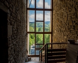 NEF_2623