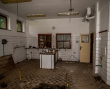 NEF_2635