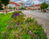 850_5491-Edit
