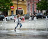 850_8494-Edit