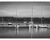 DSC_5834-Edit