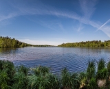 NEF_2752