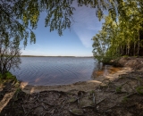NEF_2771