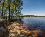 NEF_2774