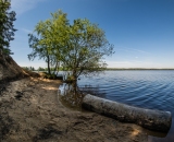 NEF_2785