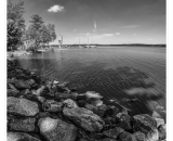 NEF_2836-Edit-2