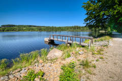 Velký pařezitý rybník