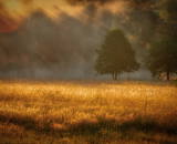 DSC_0185-Edit-Edit-topaz-denoise