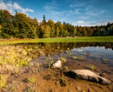 Vypuštěný Černý rybník, 30.9.2012.