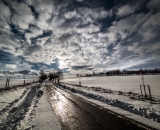 NEF_1033
