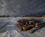 NEF_1039