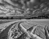 NEF_1042-Edit