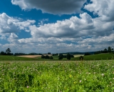 louka_usti