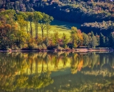 810_4715-Edit
