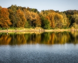 810_4729-Edit