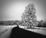 750_1806-2-topaz-denoise