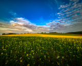850_4838-Edit-Edit-2