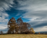 Podzim na Vysočině.. Výskytná u Jihlavy, 3.11.2012, poledne.