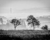 DSC_4301-Edit